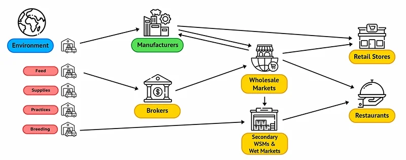 A scheme of an intricate agricultural network